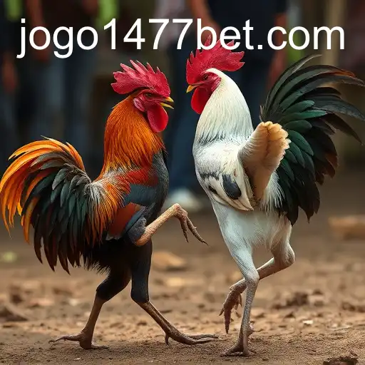 The Ancient Sport of Cockfighting: An In-Depth Exploration